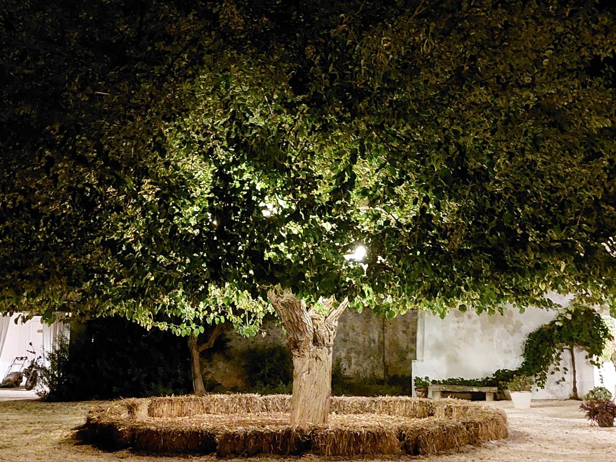 Masseria San Martino Polignano a Mare Ngoại thất bức ảnh